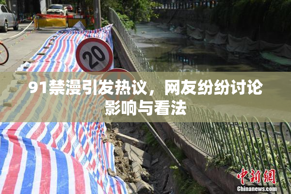 91禁漫引发热议，网友纷纷讨论影响与看法