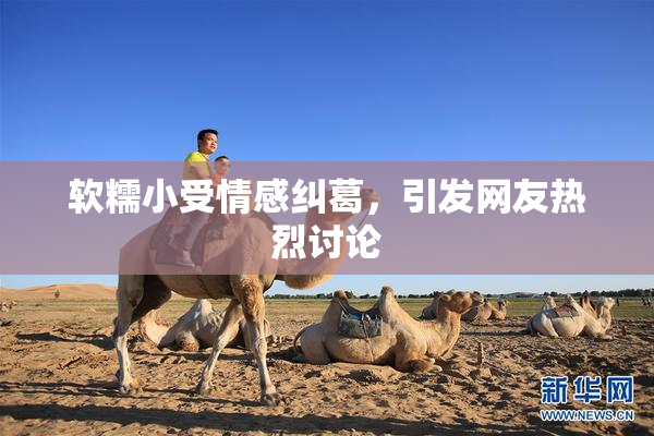 软糯小受情感纠葛，引发网友热烈讨论