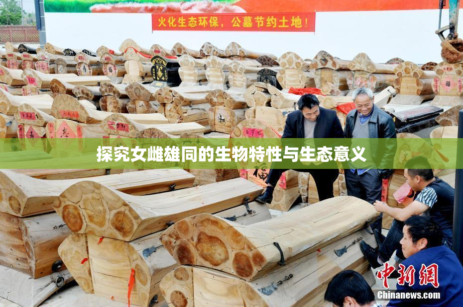 探究女雌雄同的生物特性与生态意义