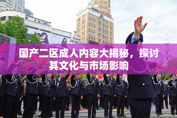 国产二区成人内容大揭秘，探讨其文化与市场影响