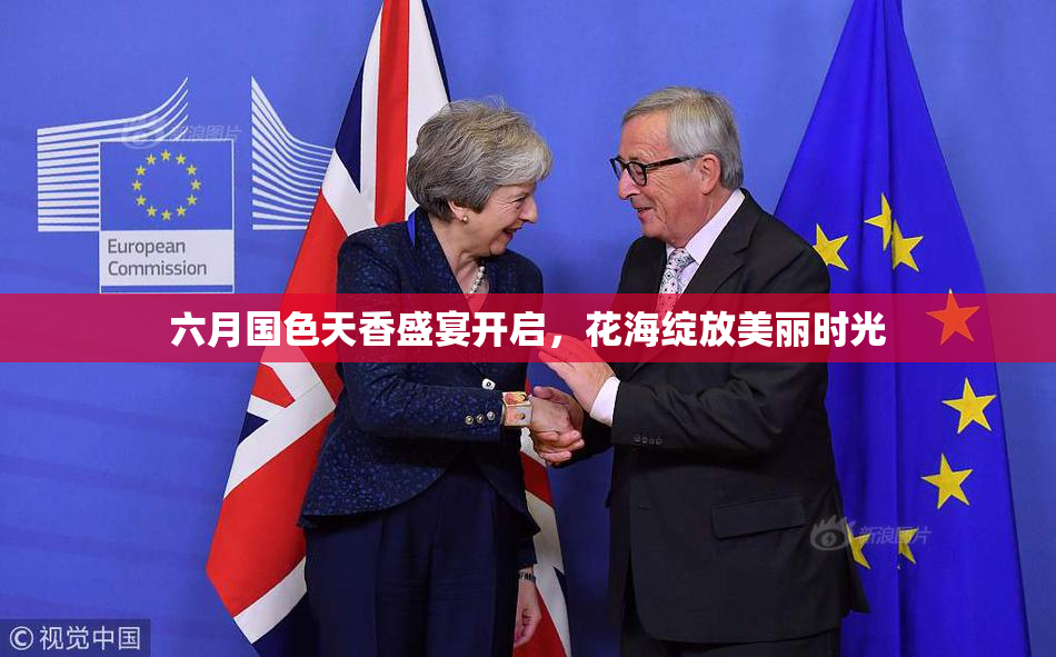 六月国色天香盛宴开启，花海绽放美丽时光
