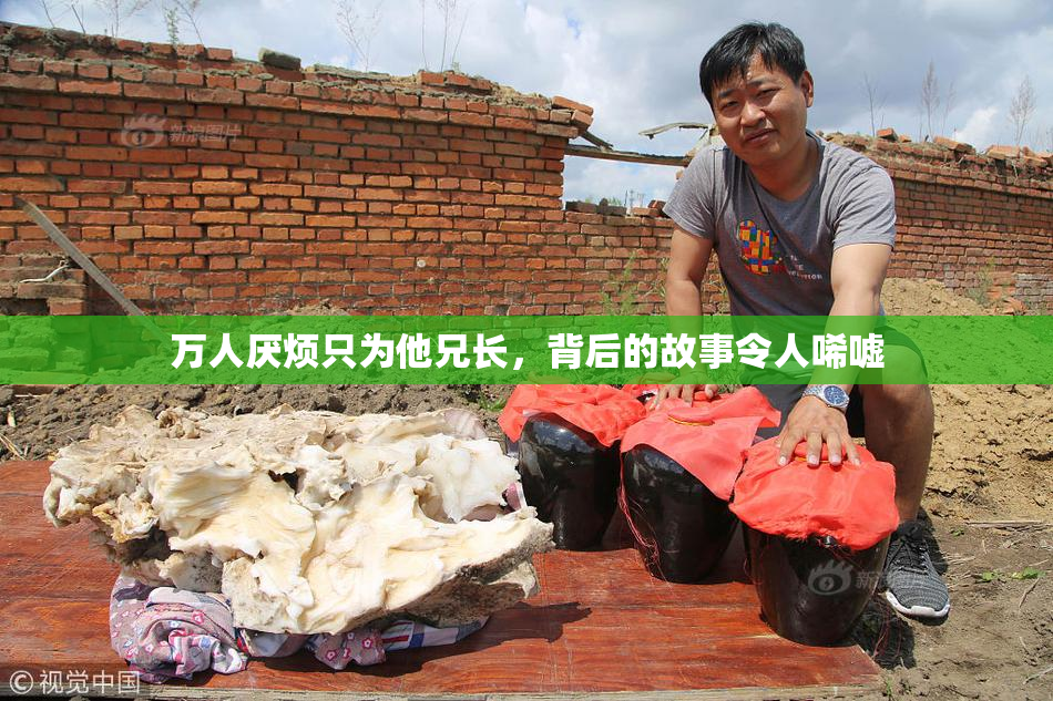 万人厌烦只为他兄长，背后的故事令人唏嘘