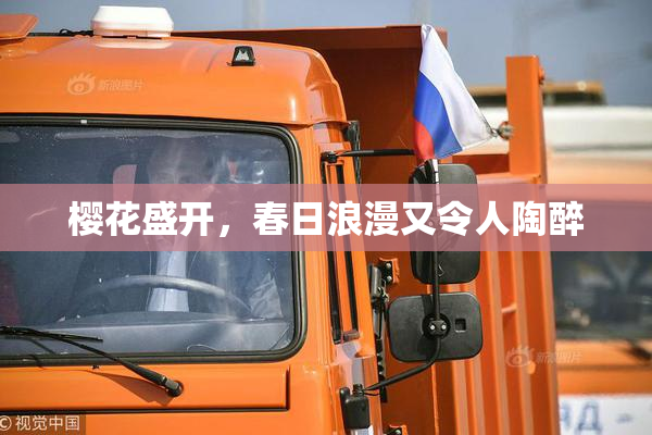 樱花盛开，春日浪漫又令人陶醉