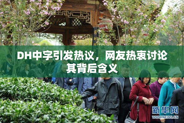 DH中字引发热议，网友热衷讨论其背后含义