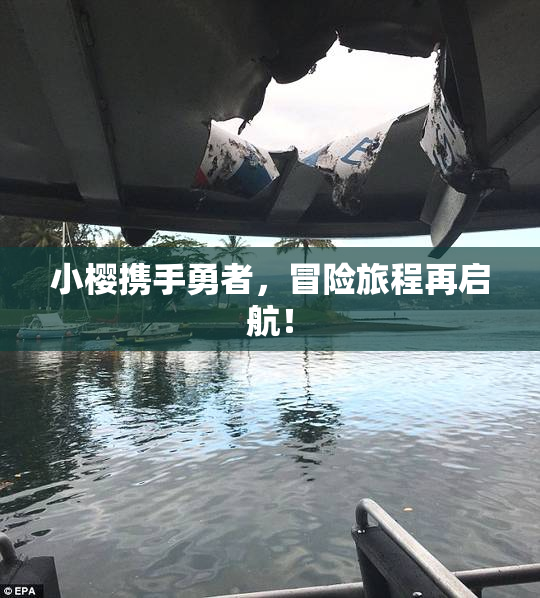小樱携手勇者，冒险旅程再启航！