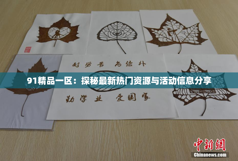 91精品一区：探秘最新热门资源与活动信息分享