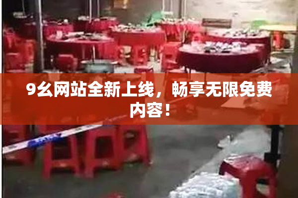 9幺网站全新上线，畅享无限免费内容！