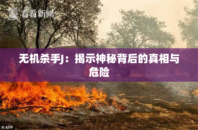 无机杀手J：揭示神秘背后的真相与危险