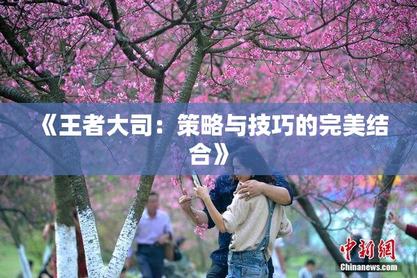 《王者大司：策略与技巧的完美结合》