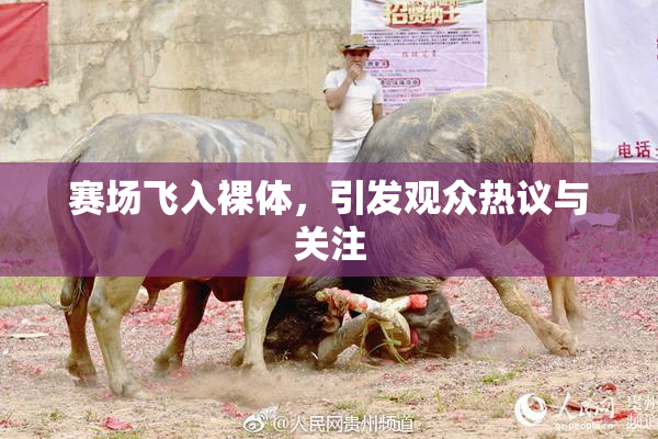 赛场飞入裸体，引发观众热议与关注