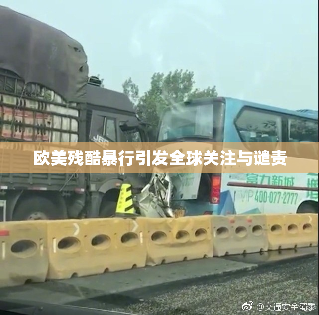 欧美残酷暴行引发全球关注与谴责