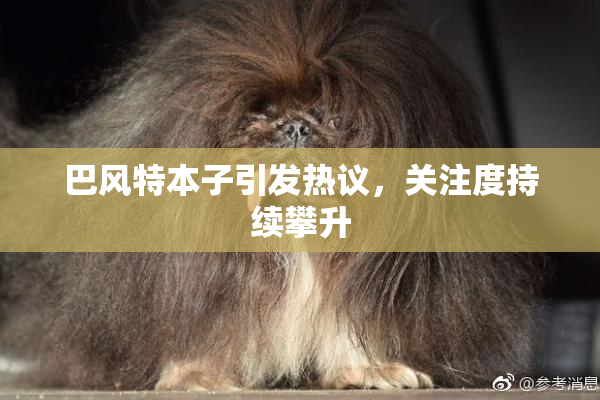 巴风特本子引发热议，关注度持续攀升