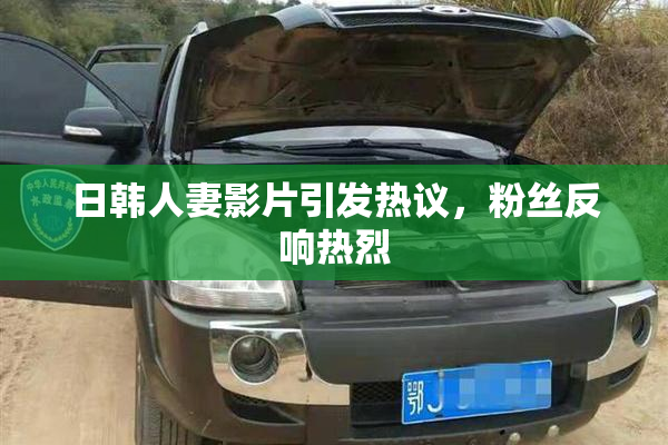 日韩人妻影片引发热议，粉丝反响热烈