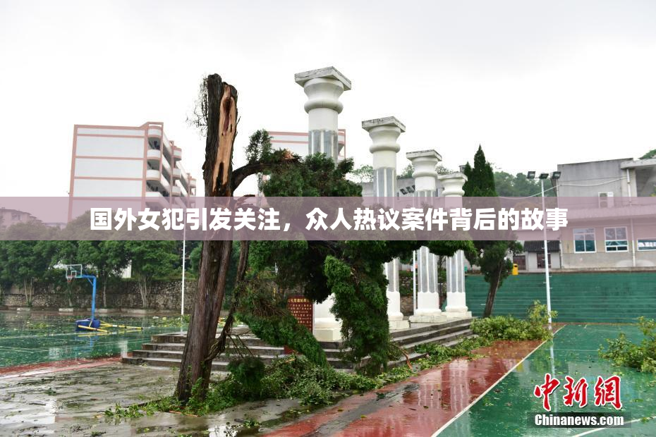 国外女犯引发关注，众人热议案件背后的故事