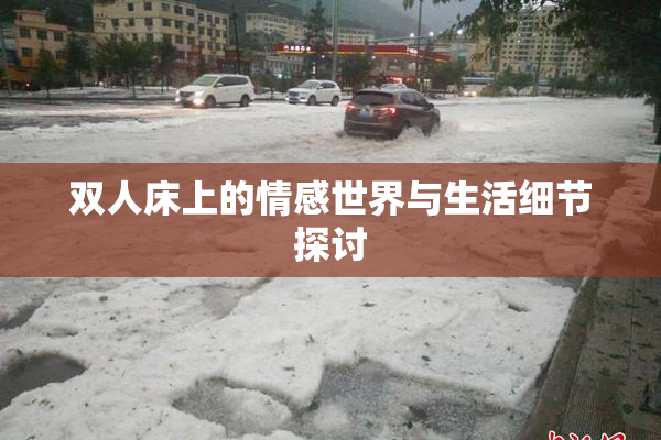 双人床上的情感世界与生活细节探讨