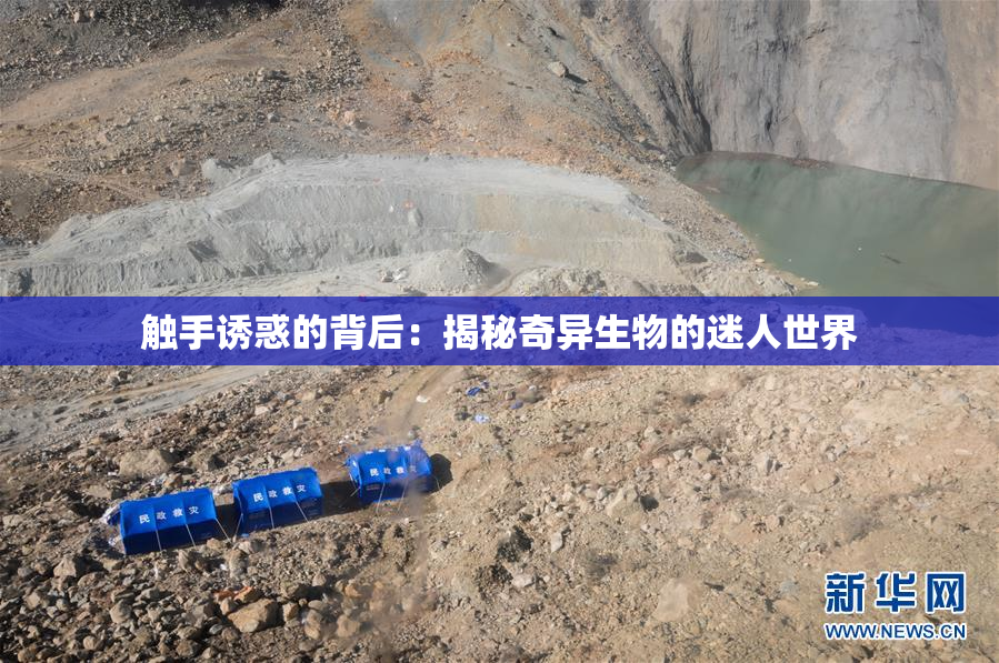 触手诱惑的背后：揭秘奇异生物的迷人世界