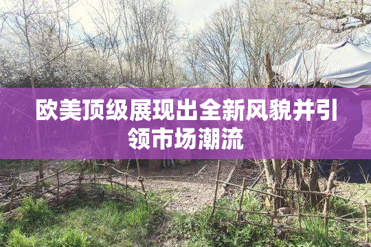 欧美顶级展现出全新风貌并引领市场潮流