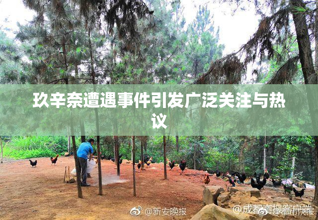 玖辛奈遭遇事件引发广泛关注与热议