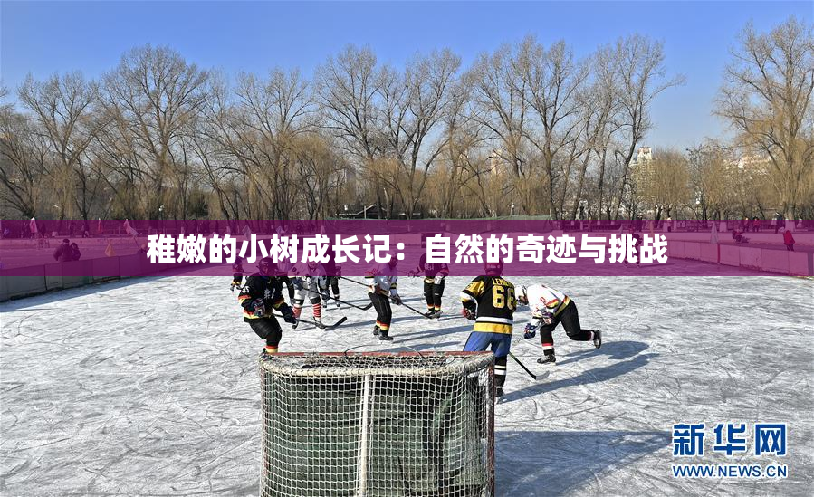 稚嫩的小树成长记：自然的奇迹与挑战