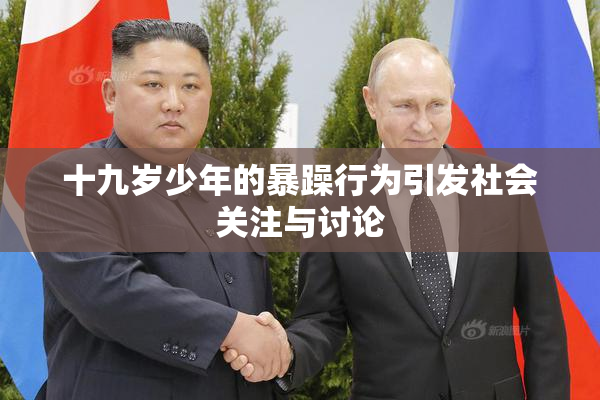 十九岁少年的暴躁行为引发社会关注与讨论
