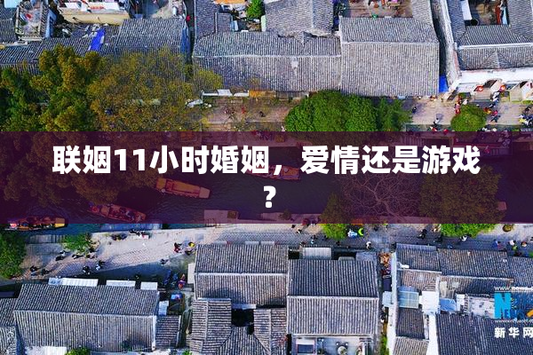 联姻11小时婚姻，爱情还是游戏？