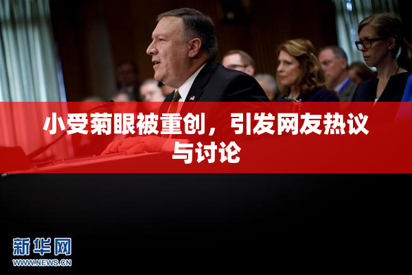 小受菊眼被重创，引发网友热议与讨论