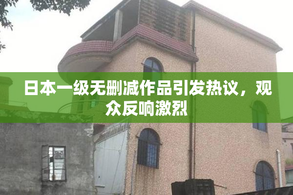 日本一级无删减作品引发热议，观众反响激烈