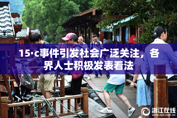 15·c事件引发社会广泛关注，各界人士积极发表看法