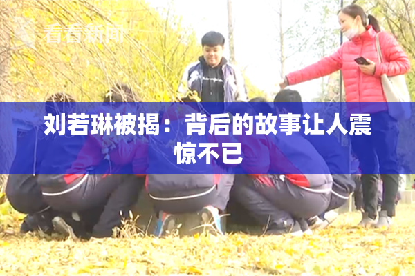 刘若琳被揭：背后的故事让人震惊不已