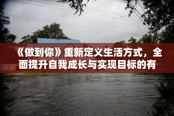 《做到你》重新定义生活方式，全面提升自我成长与实现目标的有效途径。