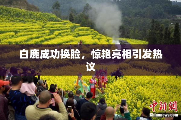 白鹿成功换脸，惊艳亮相引发热议