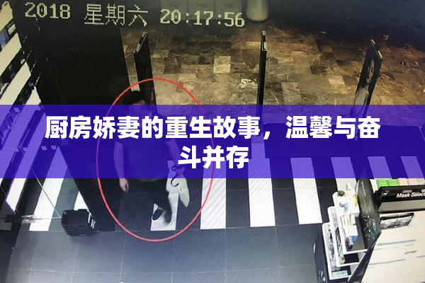 厨房娇妻的重生故事，温馨与奋斗并存
