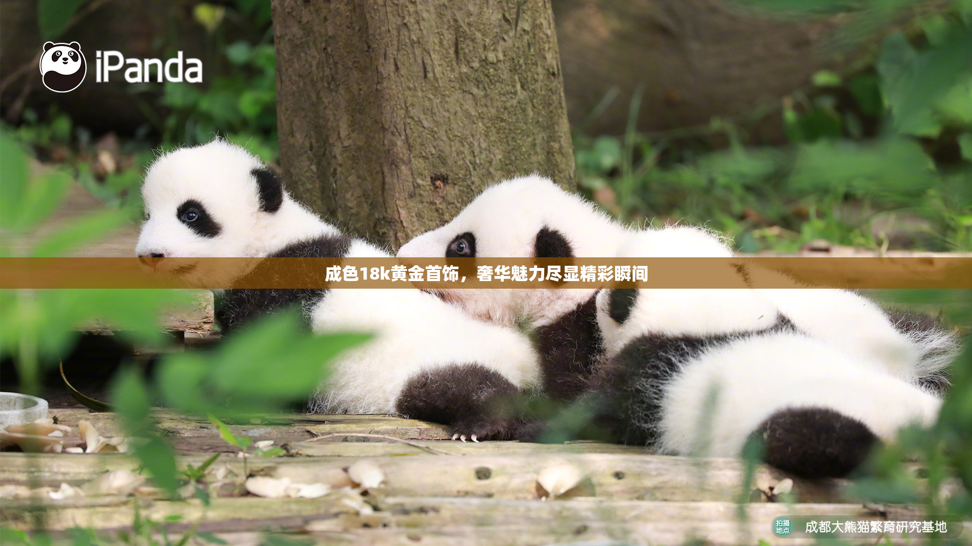 成色18k黄金首饰，奢华魅力尽显精彩瞬间
