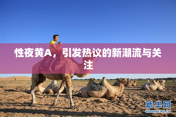 性夜黄A，引发热议的新潮流与关注