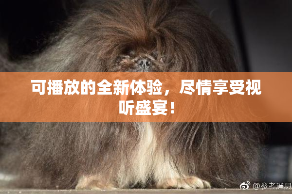 可播放的全新体验，尽情享受视听盛宴！
