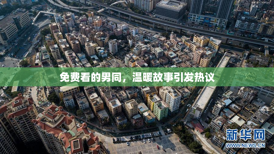 免费看的男同，温暖故事引发热议
