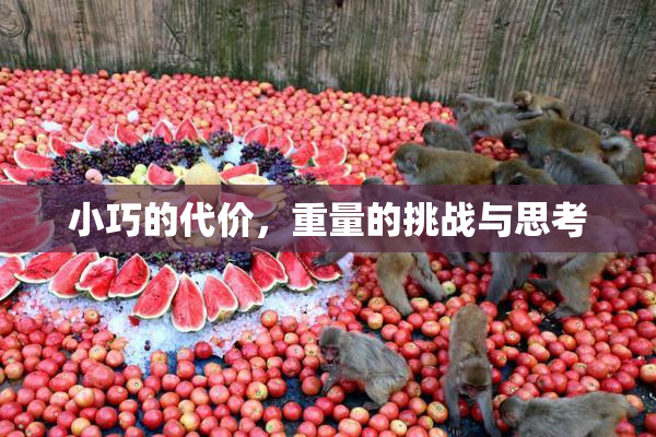 小巧的代价，重量的挑战与思考