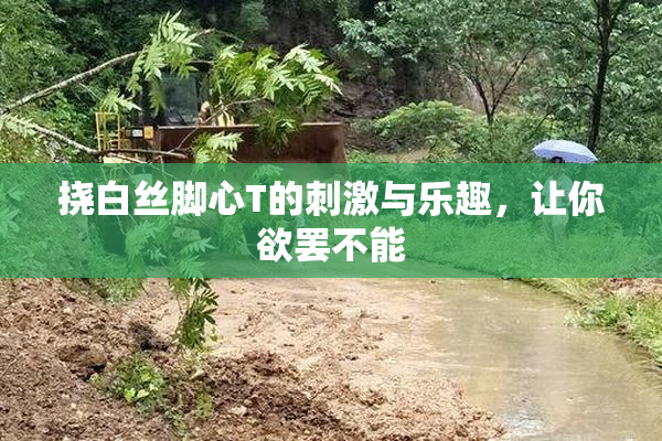 挠白丝脚心T的刺激与乐趣，让你欲罢不能