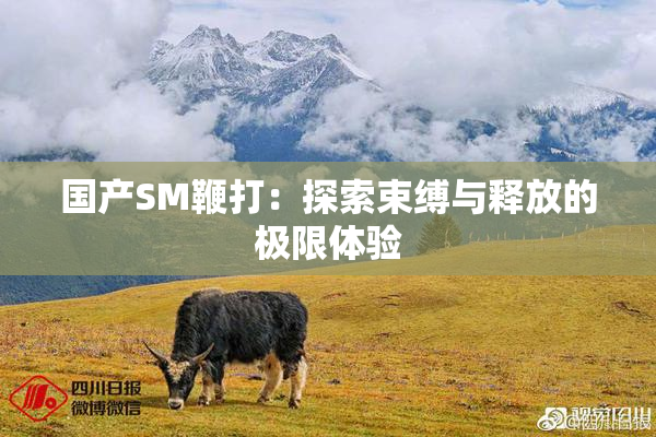 国产SM鞭打：探索束缚与释放的极限体验