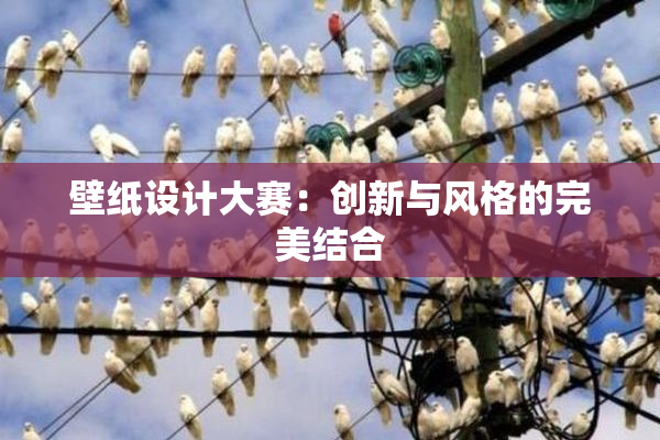 壁纸设计大赛：创新与风格的完美结合