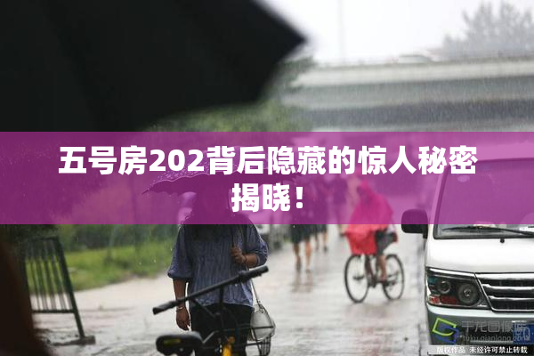 五号房202背后隐藏的惊人秘密揭晓！