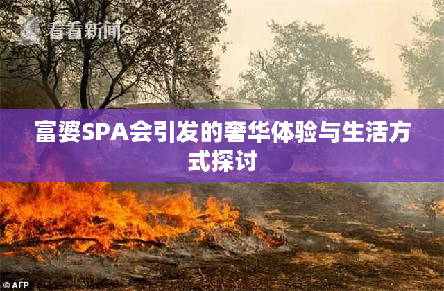 富婆SPA会引发的奢华体验与生活方式探讨