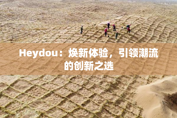 Heydou：焕新体验，引领潮流的创新之选