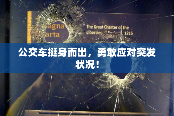 公交车挺身而出，勇敢应对突发状况！