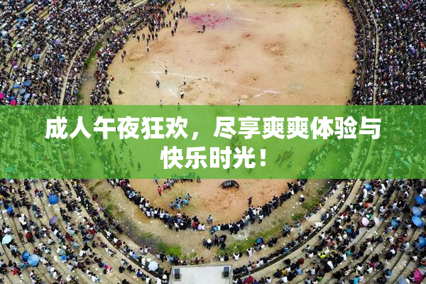 成人午夜狂欢，尽享爽爽体验与快乐时光！