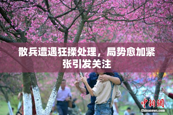 散兵遭遇狂揉处理，局势愈加紧张引发关注