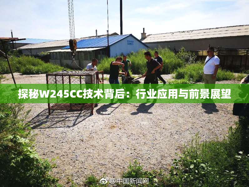 探秘W245CC技术背后：行业应用与前景展望