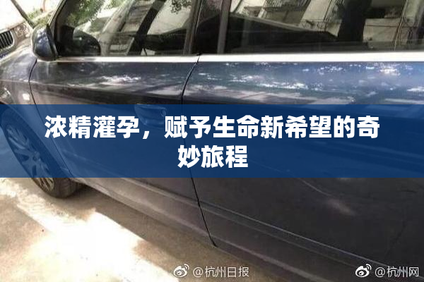 浓精灌孕，赋予生命新希望的奇妙旅程