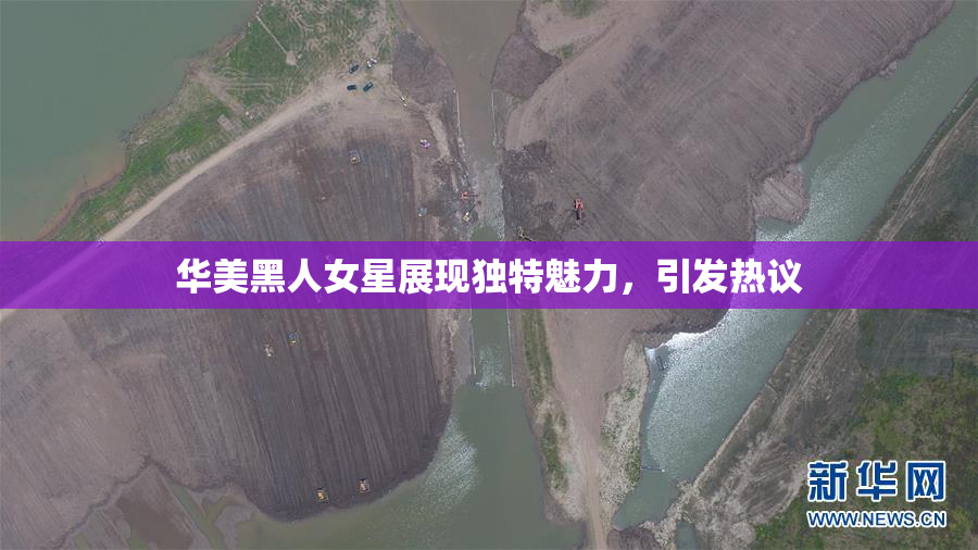 华美黑人女星展现独特魅力，引发热议