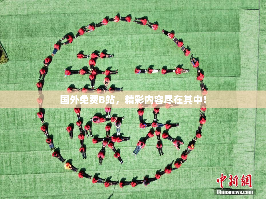 国外免费B站，精彩内容尽在其中！